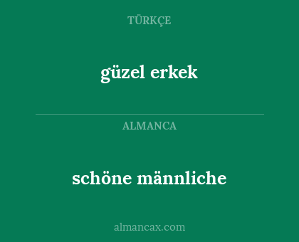 schöne männliche - güzel erkek