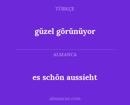 es schön aussieht - güzel görünüyor