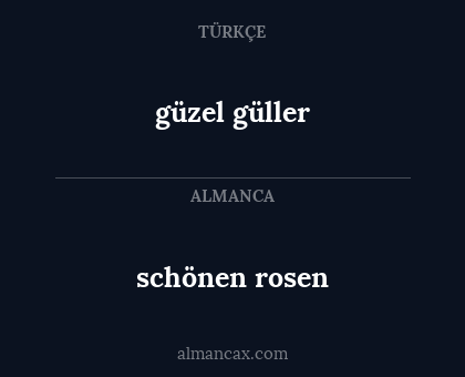 schönen rosen - güzel güller