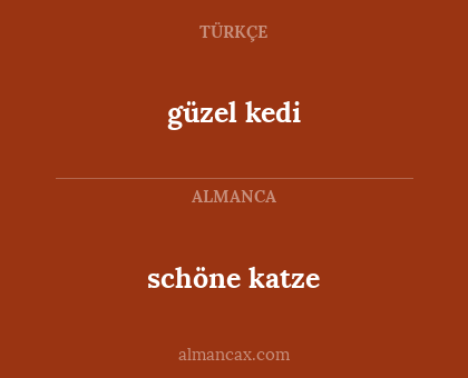 schöne katze - güzel kedi