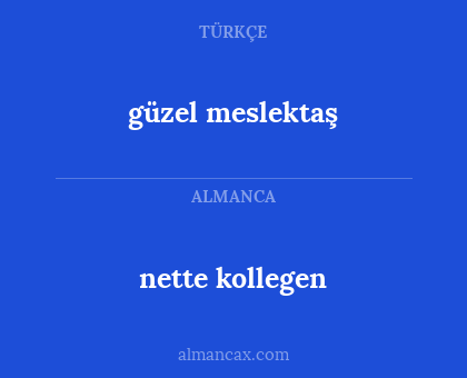 nette kollegen - güzel meslektaş