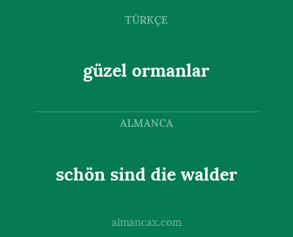 güzel ormanlar - schön sind die walder