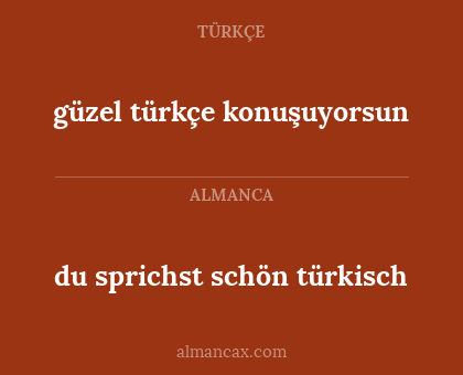 güzel türkçe konuşuyorsun - du sprichst schön türkisch