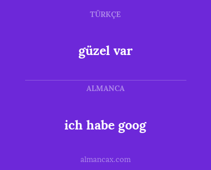 güzel var - ich habe goog