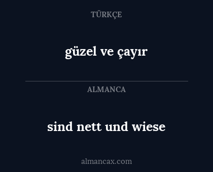 sind nett und wiese - güzel ve çayır