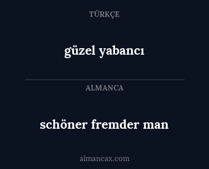 schöner fremder man - güzel yabancı