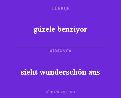 sieht wunderschön aus - güzele benziyor