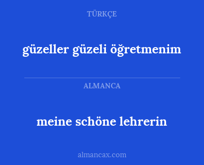 meine schöne lehrerin - güzeller güzeli öğretmenim