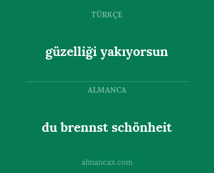 du brennst schönheit - güzelliği yakıyorsun