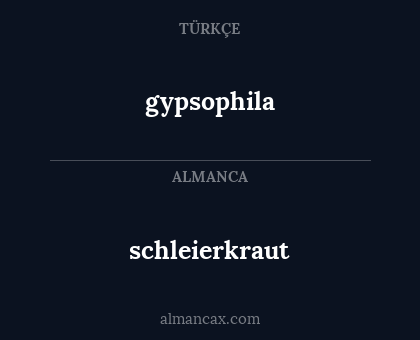 schleierkraut - gypsophila