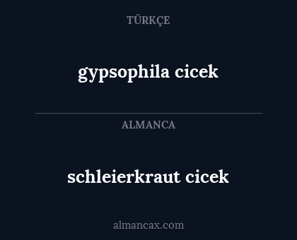 gypsophila cicek - schleierkraut cicek