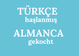 ha%C5%9Flanm%C4%B1%C5%9F-gekocht.png