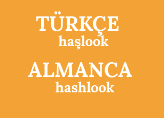 ha%C5%9Flook-hashlook.png