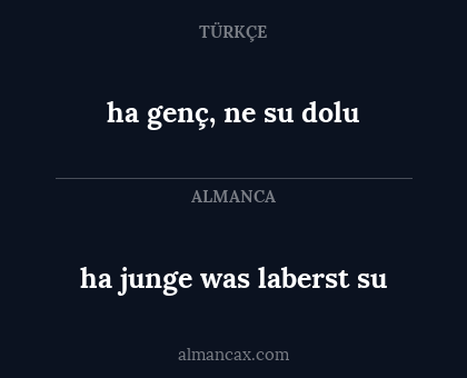 ha junge was laberst su - ha genç, ne su dolu
