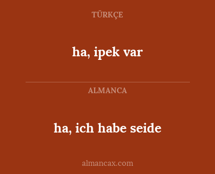 ha, ipek var - ha, ich habe seide