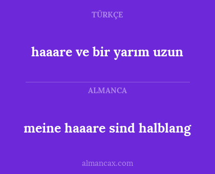 meine haaare sind halblang - haaare ve bir yarım uzun