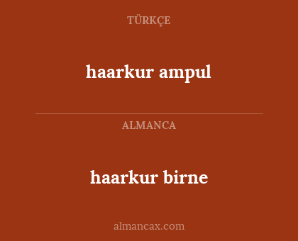 haarkur ampul - haarkur birne