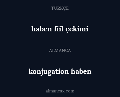 haben fiil çekimi - konjugation haben