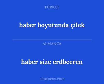 haber boyutunda çilek - haber size erdbeeren