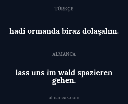 lass uns im wald spazieren gehen. - hadi ormanda biraz dolaşalım.