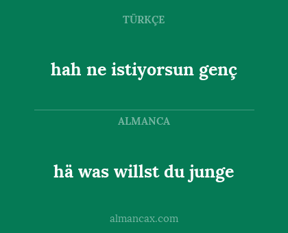 hä was willst du junge - hah ne istiyorsun genç