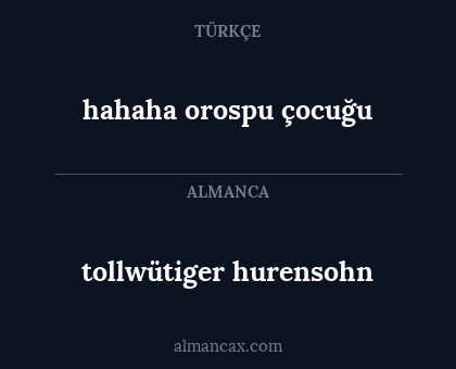 tollwütiger hurensohn - hahaha orospu çocuğu