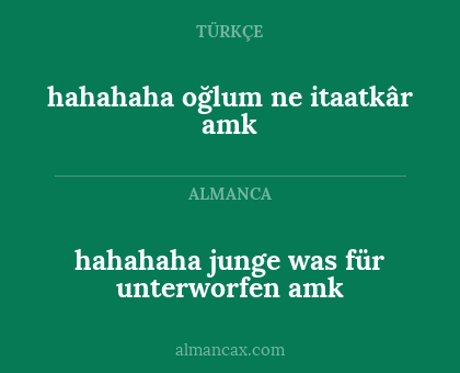 hahahaha junge was für unterworfen amk - hahahaha oğlum ne itaatkâr amk