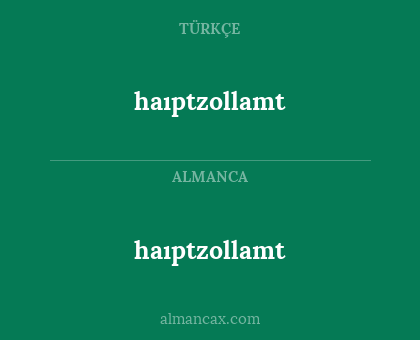 haıptzollamt - haıptzollamt