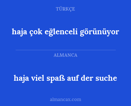 haja çok eğlenceli görünüyor - haja viel spaß auf der suche
