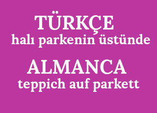 hal%C4%B1+parkenin+%C3%BCst%C3%BCnde-teppich+auf+parkett.png