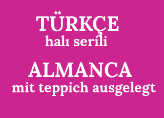 hal%C4%B1+serili-mit+teppich+ausgelegt.png