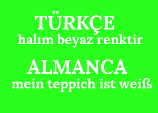hal%C4%B1m+beyaz+renktir-mein+teppich+ist+wei%C3%9F.png