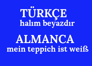 hal%C4%B1m+beyazd%C4%B1r-mein+teppich+ist+wei%C3%9F.png