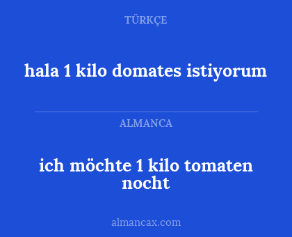 ich möchte 1 kilo tomaten nocht - hala 1 kilo domates istiyorum