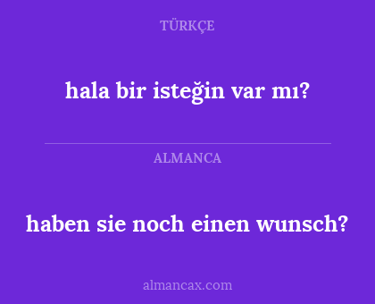 hala bir isteğin var mı? - haben sie noch einen wunsch?