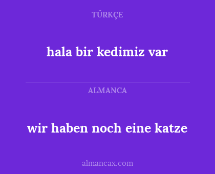 wir haben noch eine katze - hala bir kedimiz var