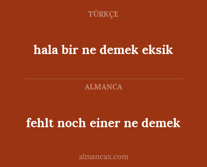 fehlt noch einer ne demek - hala bir ne demek eksik