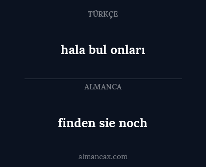 finden sie noch - hala bul onları