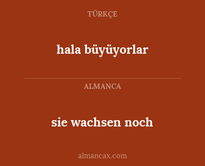 sie wachsen noch - hala büyüyorlar