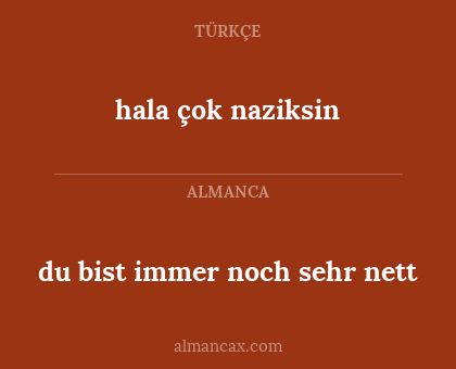 du bist immer noch sehr nett - hala çok naziksin