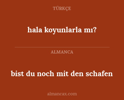 hala koyunlarla mı? - bist du noch mit den schafen