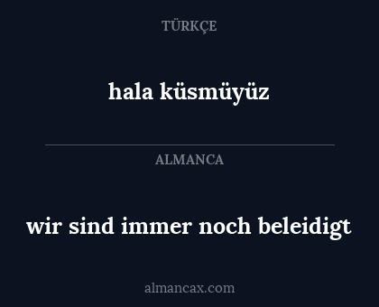 hala küsmüyüz - wir sind immer noch beleidigt