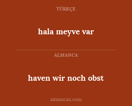 haven wir noch obst - hala meyve var