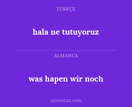 hala ne tutuyoruz - was hapen wir noch