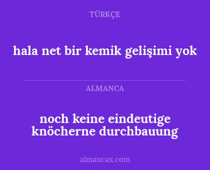 noch keine
eindeutige knöcherne durchbauung - hala net bir kemik gelişimi yok