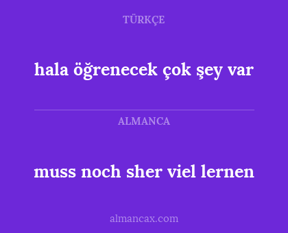 muss noch sher viel lernen - hala öğrenecek çok şey var