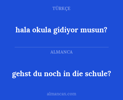 gehst du noch in die schule? - hala okula gidiyor musun?