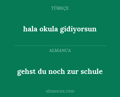 hala okula gidiyorsun - gehst du noch zur schule
