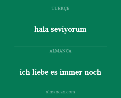 hala seviyorum - ich liebe es immer noch