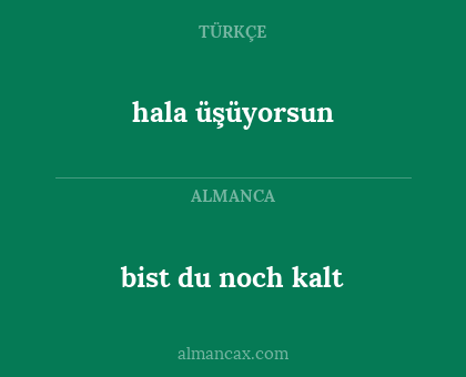 bist du noch kalt - hala üşüyorsun